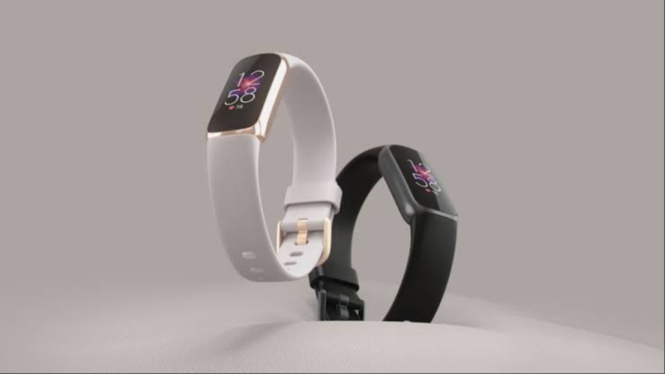 Fitbit Luxe