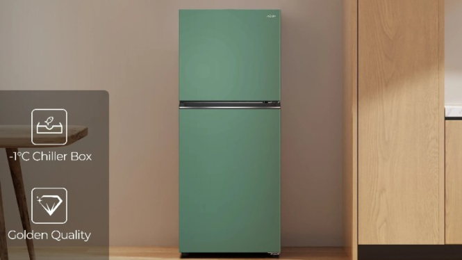 Kulkas AQUA AQR-DTM245CBP(ME), Kulkas 2 Pintu
