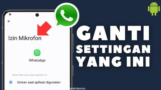 Cara WhatsApp Tidak Bisa Kirim Voice Note