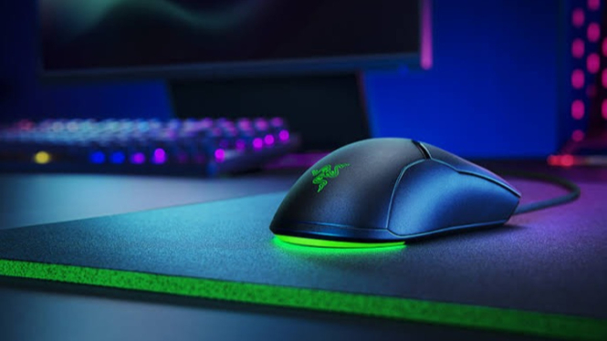 Razer Viper Mini