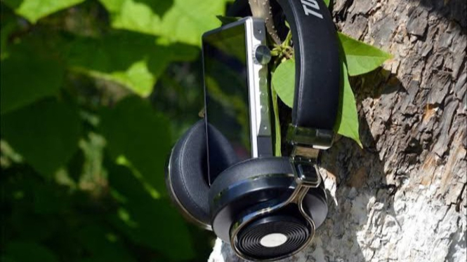 Bluedio T3