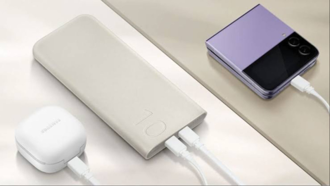 Samsung Powerbank