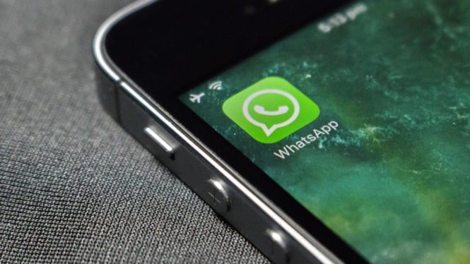 Whatsapp Seluler