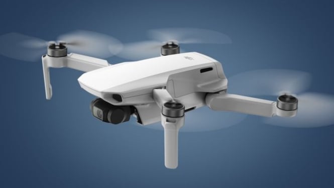 Review DJI Mini 2