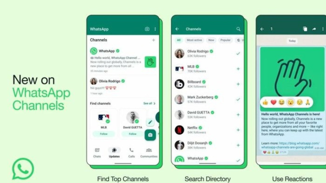 Channel WhatsApp