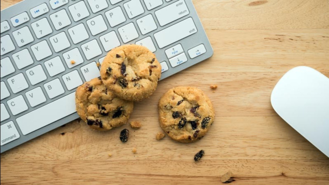 computer cookies and cache ilustration