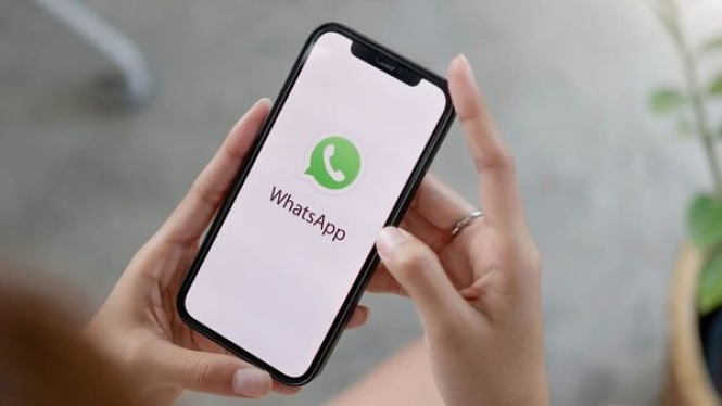 Cara Matikan WhatsApp Sementara