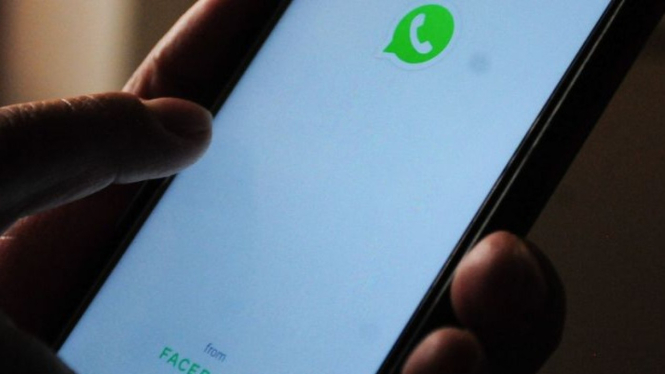 Cara Off WhatsApp Tanpa Matikan Internet