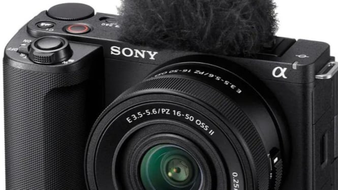 Sony APS-C