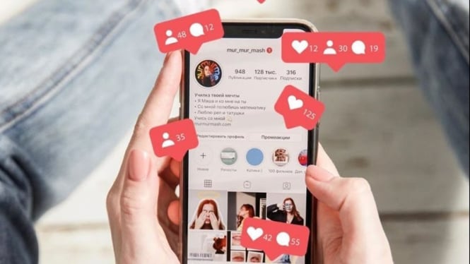 Feed Instagram