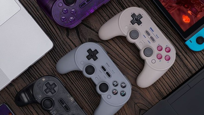 8Bitdo Pro 2