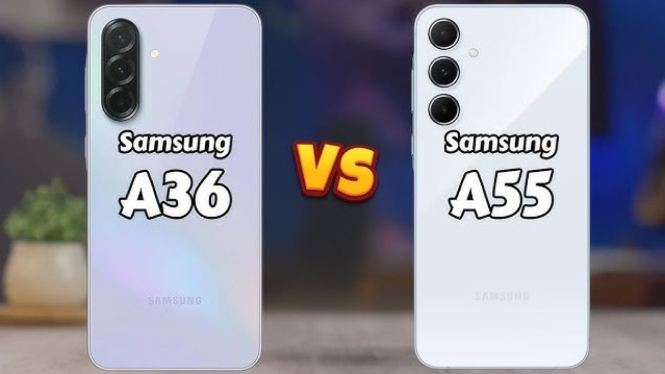 Samsung Galaxy A36 vs A55