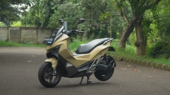 Maka Cavalry 2025
