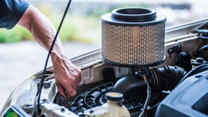 Car's Filter