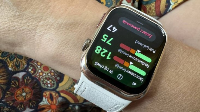 Huawei Watch D2
