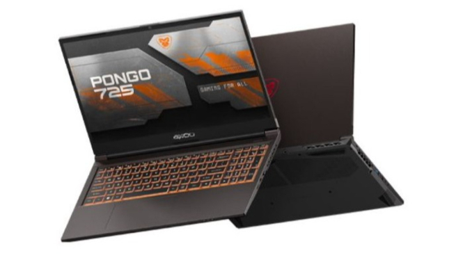 Axioo Pongo 725