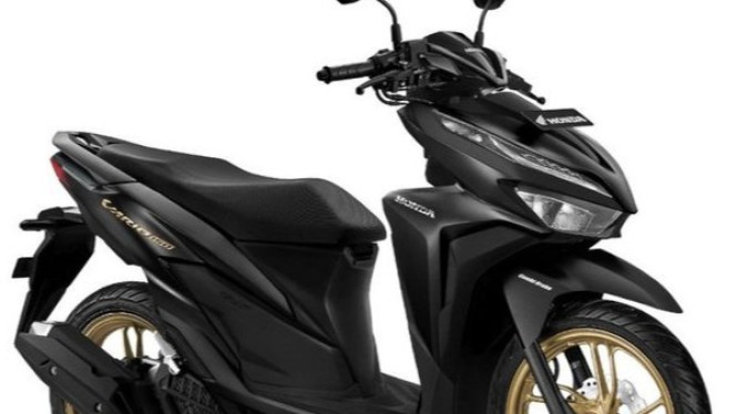 Cat Doff Motor