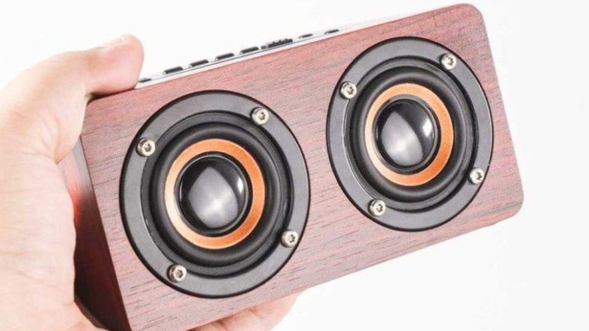 Speaker HiFi dan Speaker Biasa