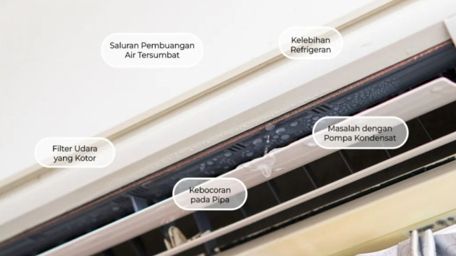 AC Bocor
