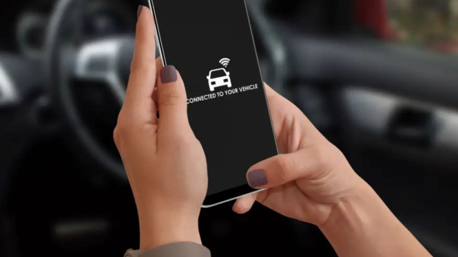 WiFi Cars