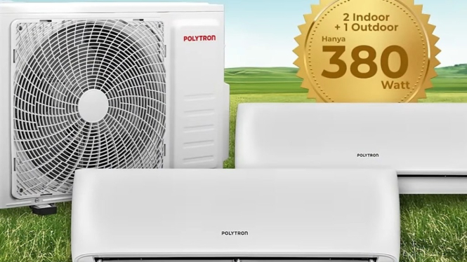 AC Polytron Neuva Multi Inverter