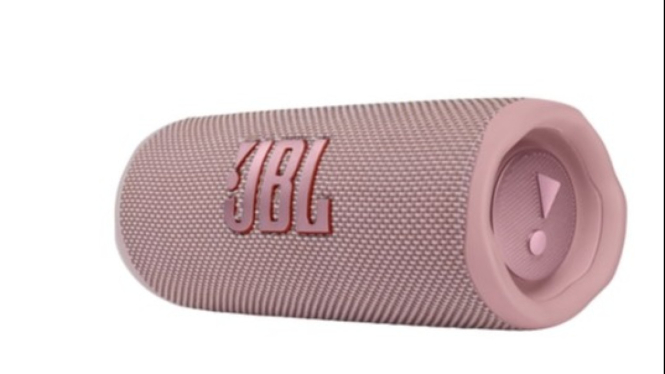 JBL FLIP 6
