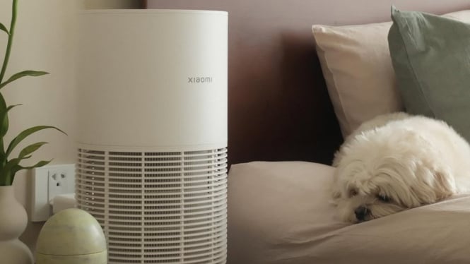 Xiaomi Smart Pet Care