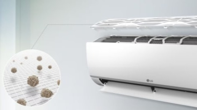 LG Dual Cool with WiFi
