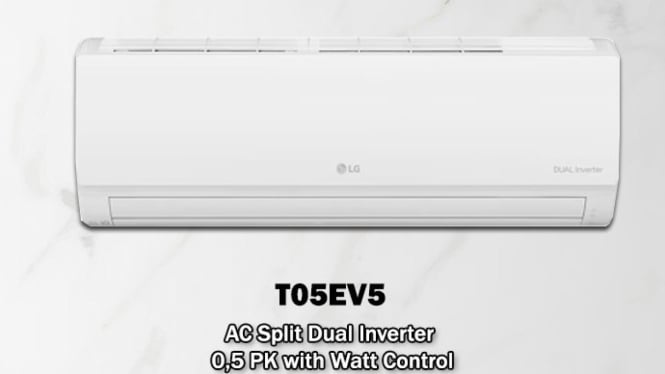 AC LG Dual Cool Inverter T05EV5