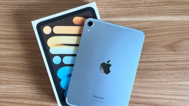 iPad Mini 7