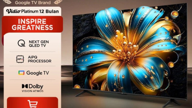 TCL 50T6C