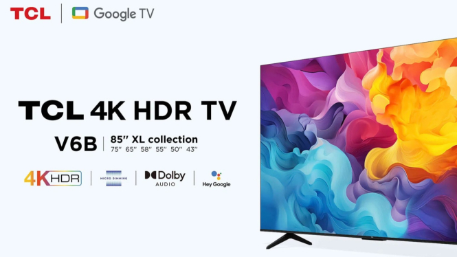 TCL 50V6B