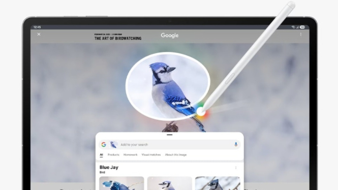 Samsung Galaxy Tab S10 FE