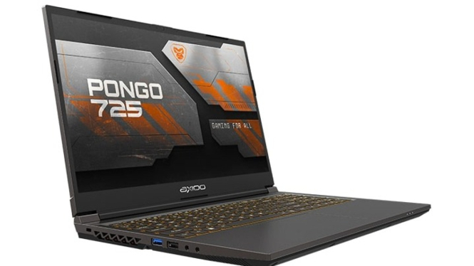 Axioo Pongo 725