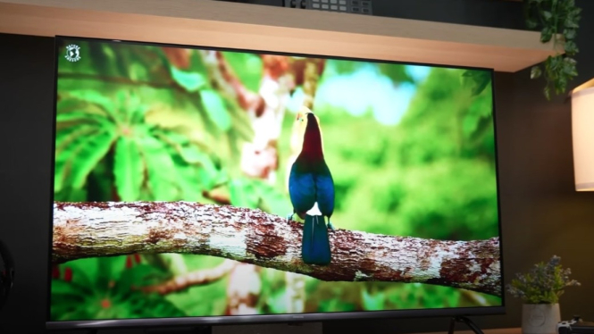 Coocaa TV 43 Inch Y73 Pro