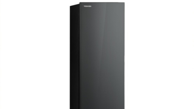 Kulkas Toshiba 1 Pintu GR-RD196CC-DMF