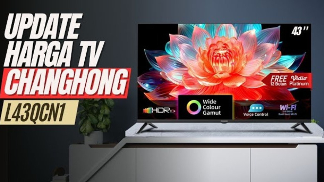 TV Changhong L43QCN1