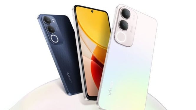 Vivo Y19s Pro