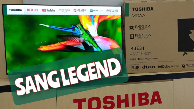 TOSHIBA 43E31KP