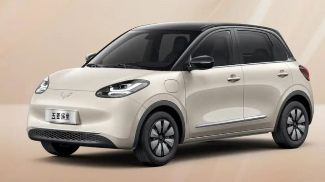 Wuling Binguo EV