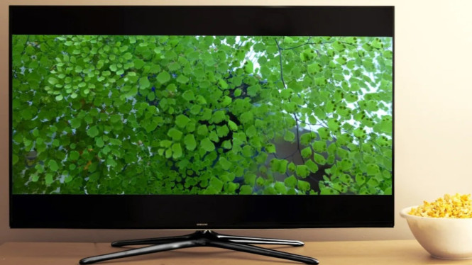 Samsung H5000 (HE50EF), Smart TV