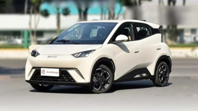 BYD Atto 1