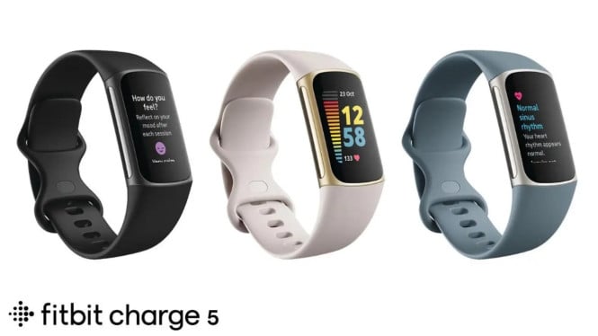 Fitbit Charge 5