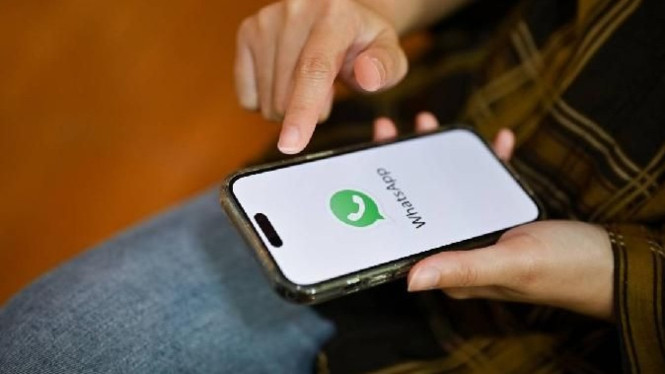 Pengguna WhatsApp