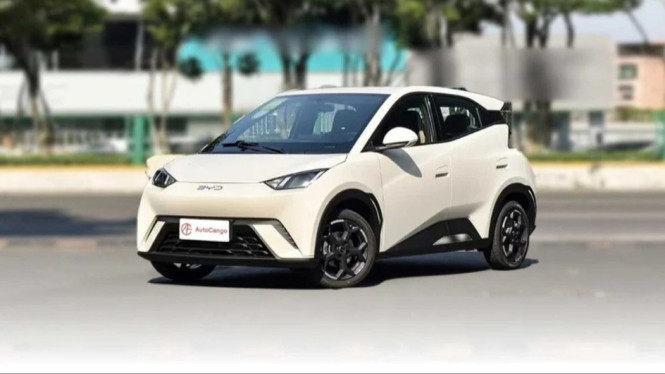 BYD Atto 1