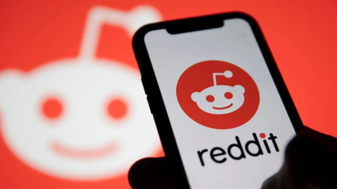 Akses Reddit Tanpa VPN Bikin Heboh, Benarkah Pemerintah Cabut Pemblokiran?