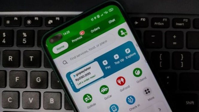 Ilustrasi Gopay Error