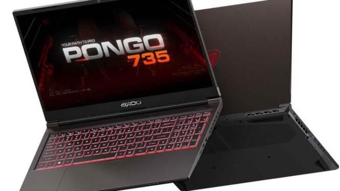 Axio Pongo 735 Gaming Laptop
