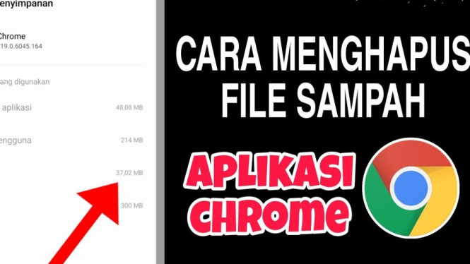 Cara Ampuh Hapus Sampah Chrome