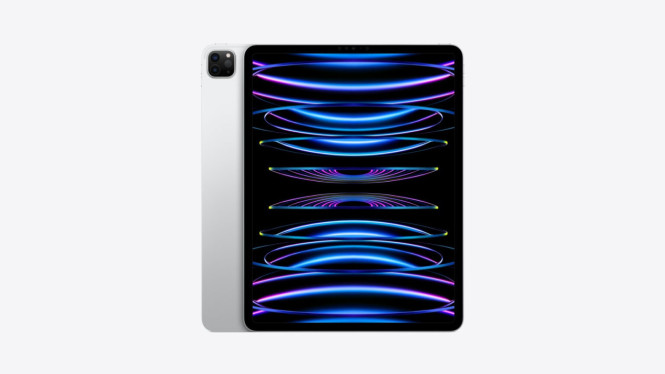 iPad Pro M2